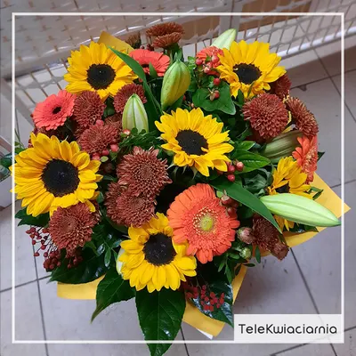 Telekwiaciarnia Kraków - florystyczna poczta, kwiatowa dostawa